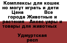 Комплексы для кошек, но могут играть и дети › Цена ­ 11 900 - Все города Животные и растения » Аксесcуары и товары для животных   . Удмуртская респ.,Глазов г.